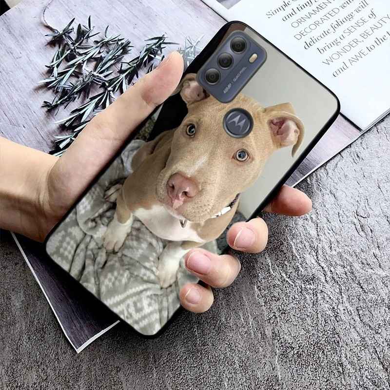 Capinha Moto G: Pitbull Terrier 🐶