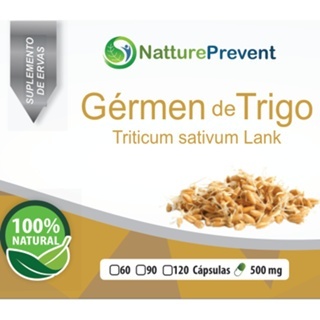 capsulas-em-nutricao-e-saude-energia-500mg-trigo-de-germen
