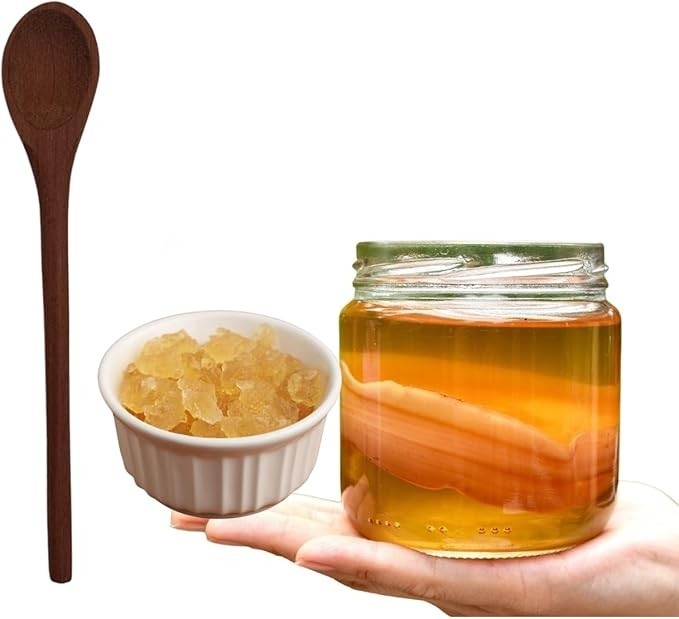 Scoby Kombucha Original Fermentação Caseira + Colher de Pau + Kefir de Agua