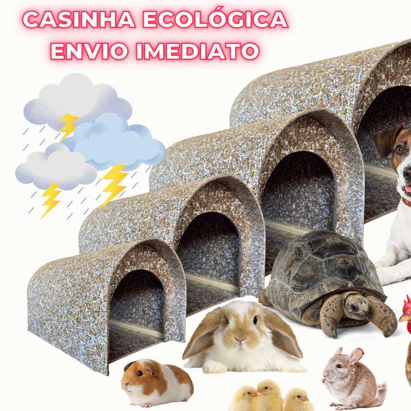 Casinha Ecológica Reciclável para Pets: Conforto e Sustentabilidade