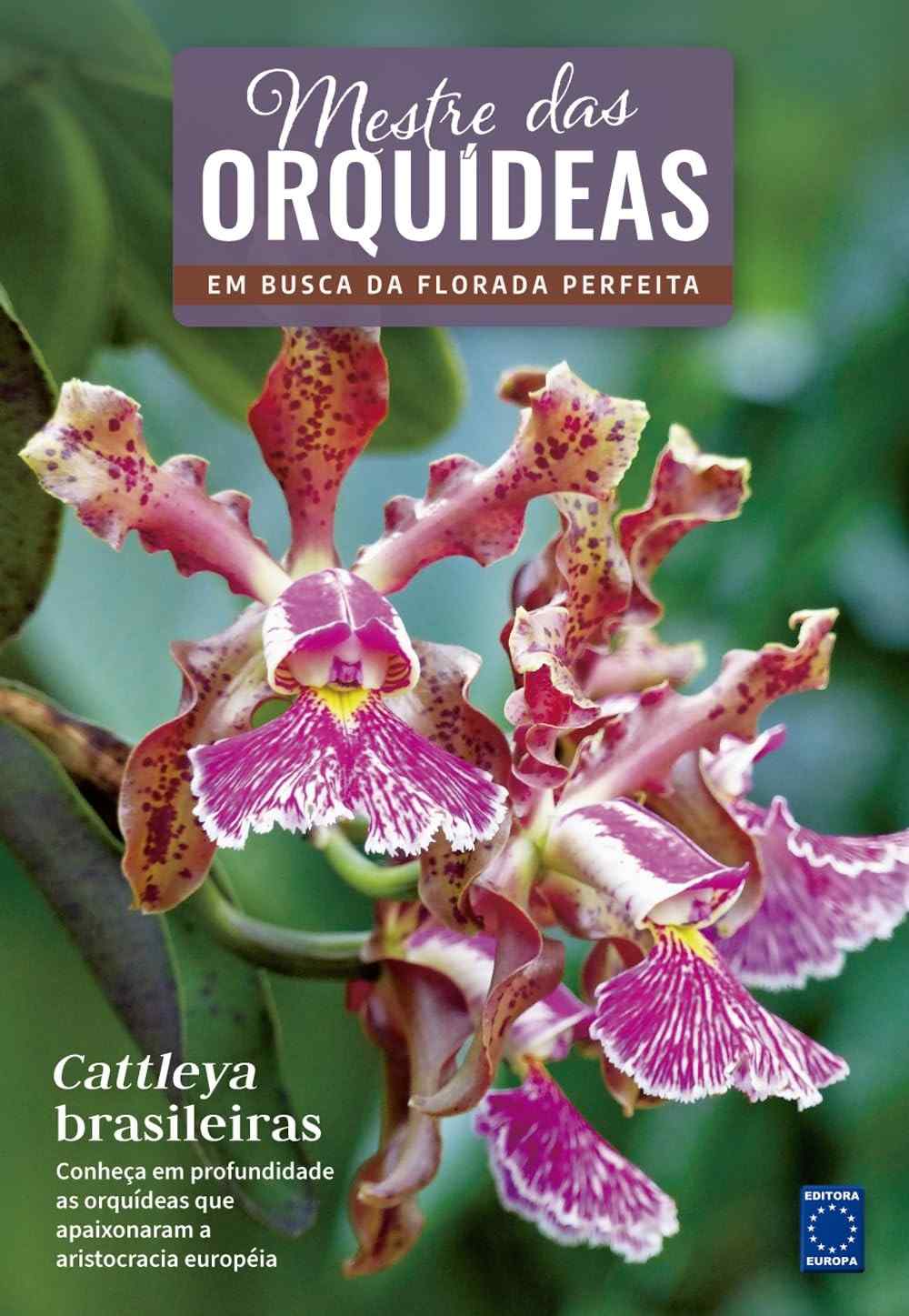 cattleya-beleza-cultivo-e-perfeito-a-a-mestre-brasileiras-o-orquideas-descubra-das-a