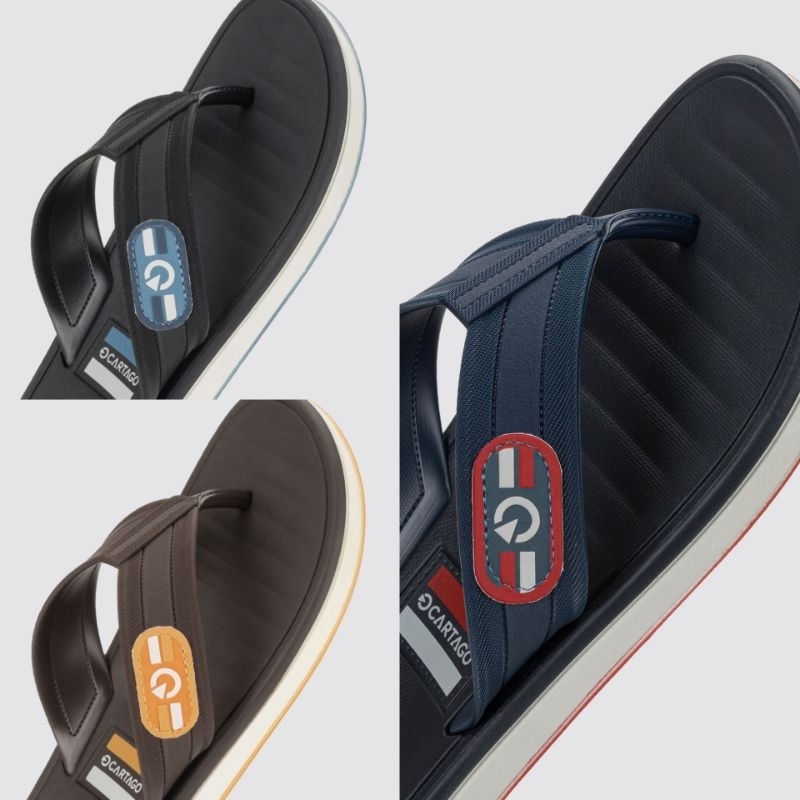 Chinelo Masculino Cartago Paris: Conforto e Estilo Grendene 11591