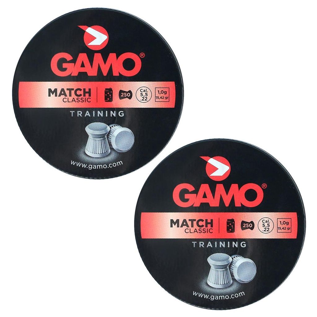 Chumbinho Gamo 5.5mm: Precisão e Treino!