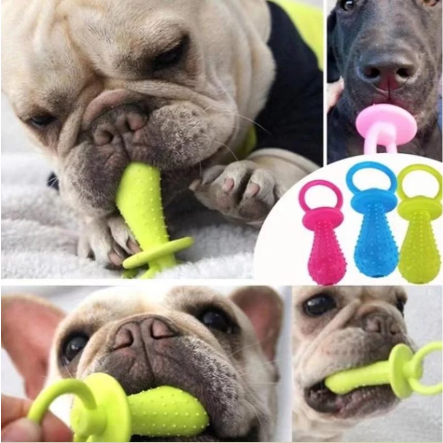 Chupeta Pet 14cm - Diversão e Saúde para seu Cão ou Gato