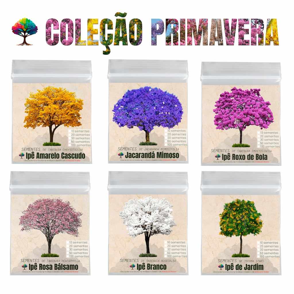 Coleção Primavera: Sementes para Mudas que Transformam seu Jardim