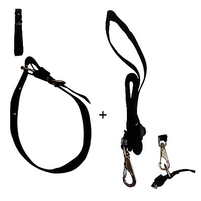 Coleira e Guia para Pets: Segurança e Liberdade!