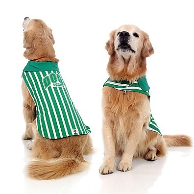colete-alvi-verde-para-cachorro-elegancia-e-conforto