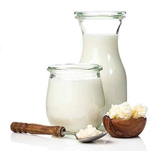 Kefir de Leite e 2x Iogurte Infinito Com Assesoria Para Cultivo e Criação