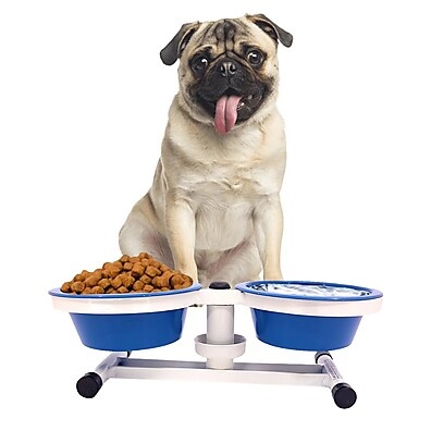 Comedouro Pet Duplo: Alimente com Praticidade!