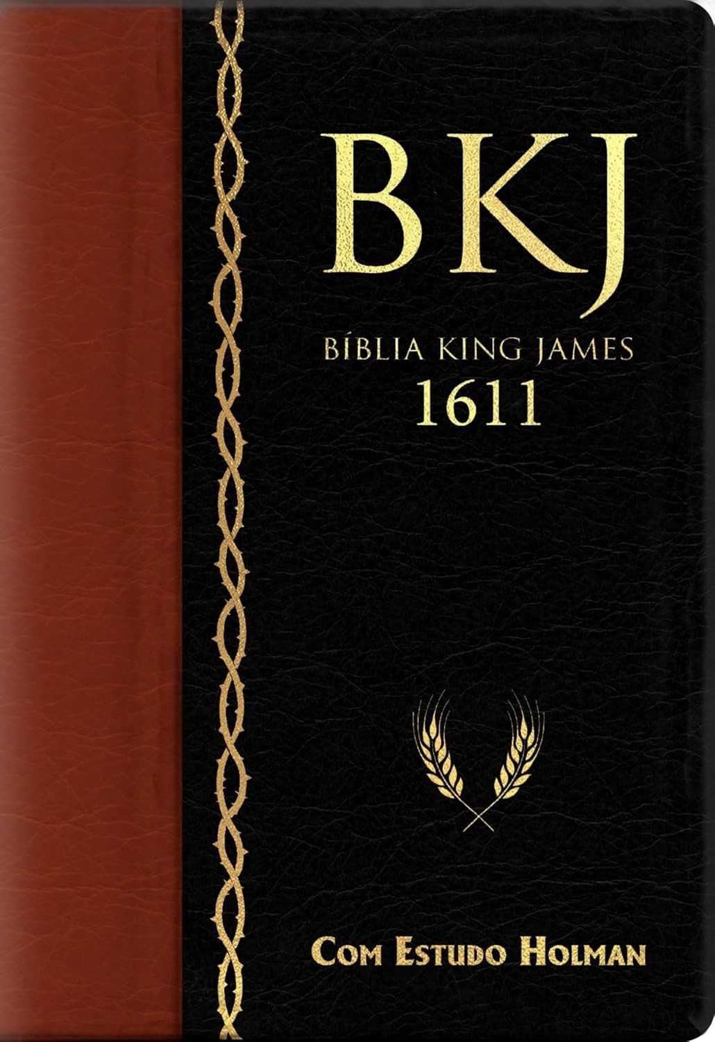 compreensao-fe-com-estudo-sua-a-aprofunde-james-e-holman-biblia-king-1611-a