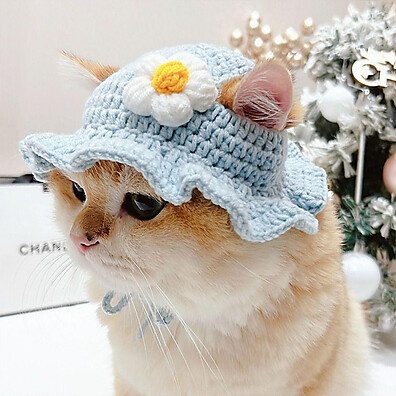 conforto-e-estilo-fofo-pet-chapeu