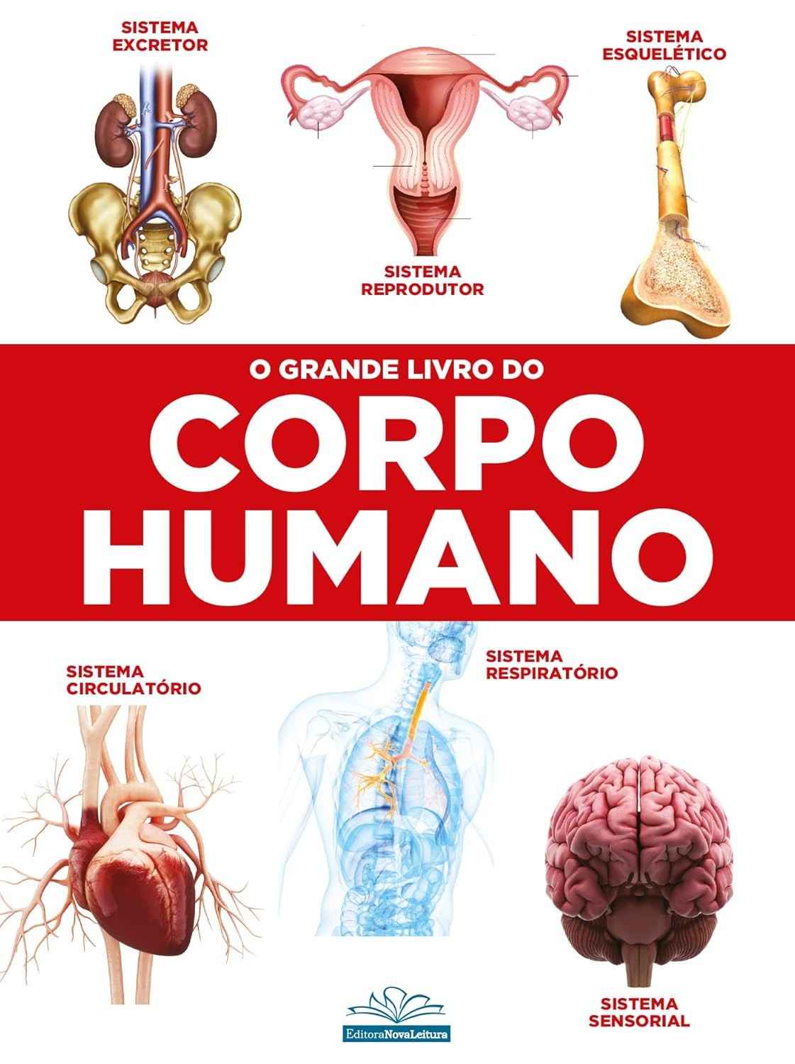 O Grande Livro do Corpo Humano: Descubra os Segredos da Máquina Perfeita