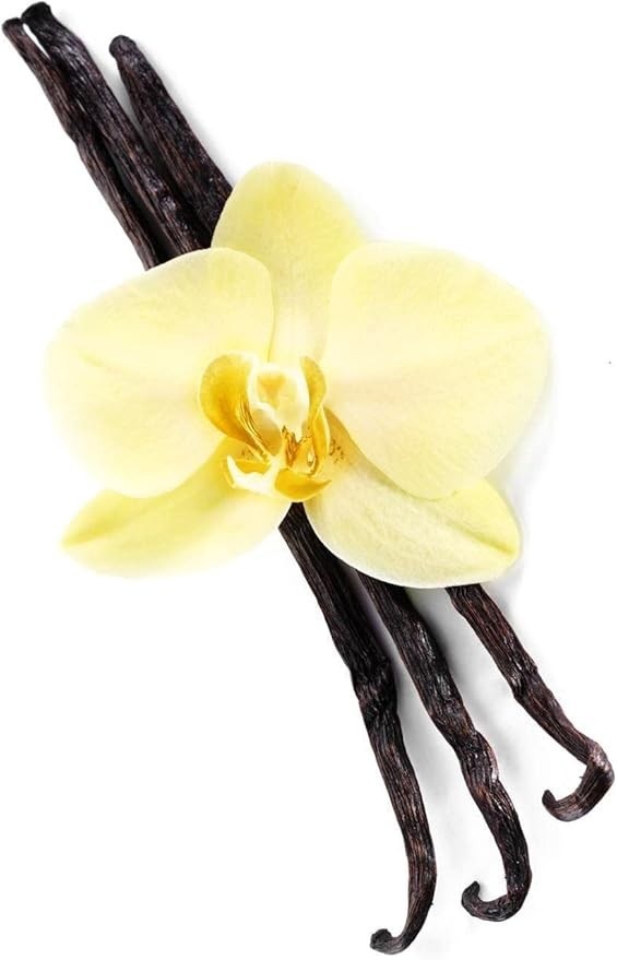 Fava De Baunilha Bourbon De Madagascar 2Gr