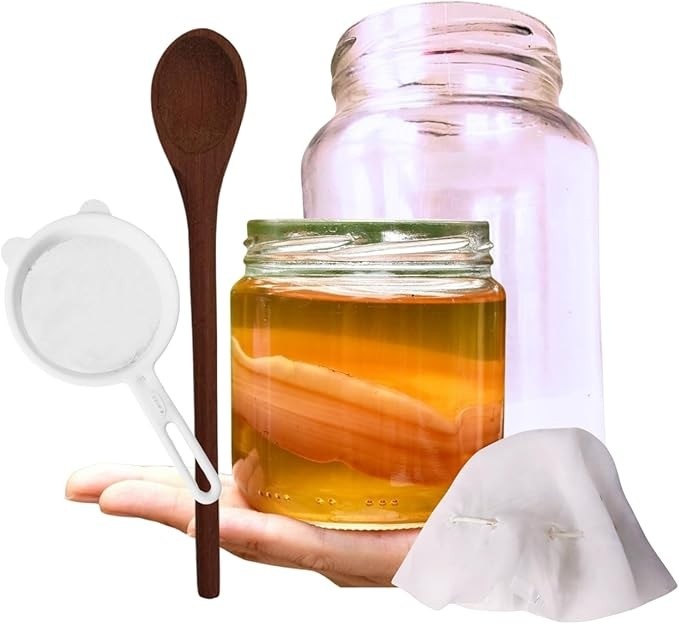 Kombucha Tradicional + Tampa Voal + Colher De Pau e Frasco 500ml