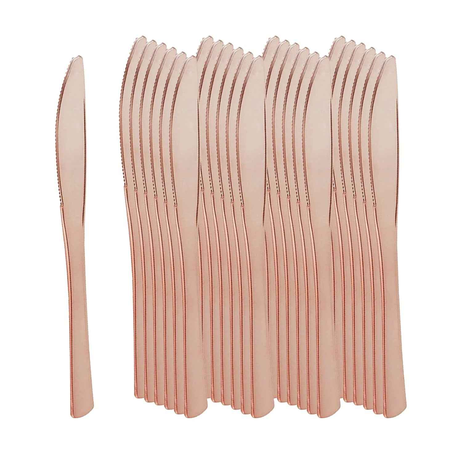 Conjunto de 25 Peças de Utensílios de Mesa Plásticos Descartáveis Minimalistas - Ideal para Festas, Churrascos e Eventos