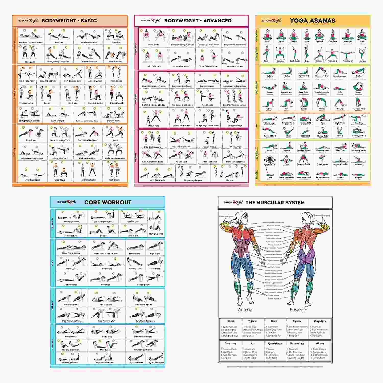 Pacote com 5 Pôsteres de Treino para Casa - Sem Equipamento | Ilustrações Coloridas para Exercícios de Peso Corporal, Yoga e Abdômen
