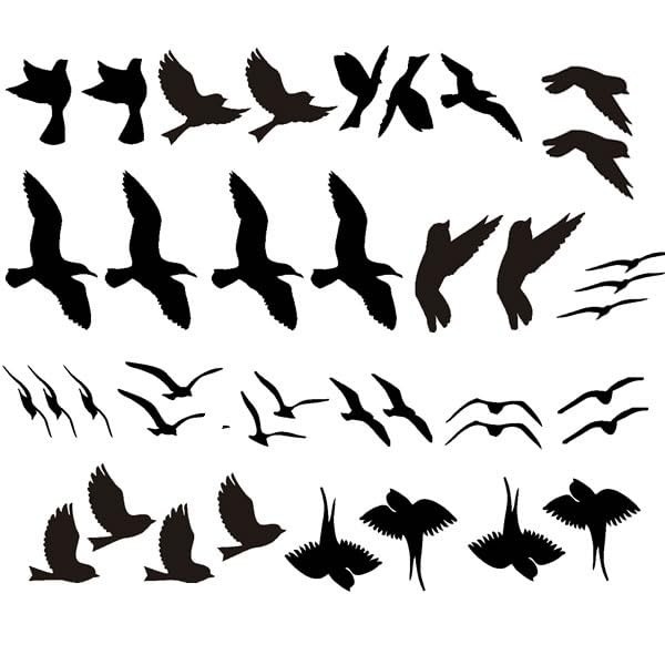 Adesivos de Gaivotas para Vidro - 20 Unidades Decorativas com Design Realístico