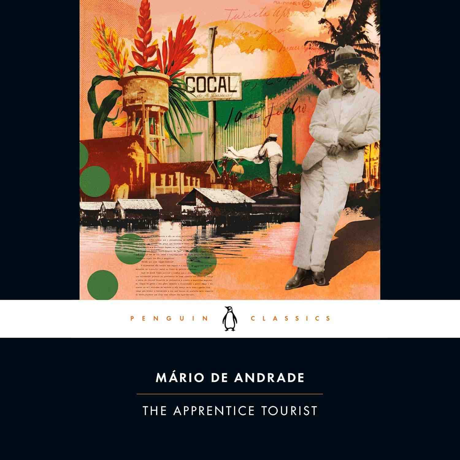 de-the-transformadora-mario-amazonia-jornada-a-na-de-andrade-a-tourist-apprentice-a