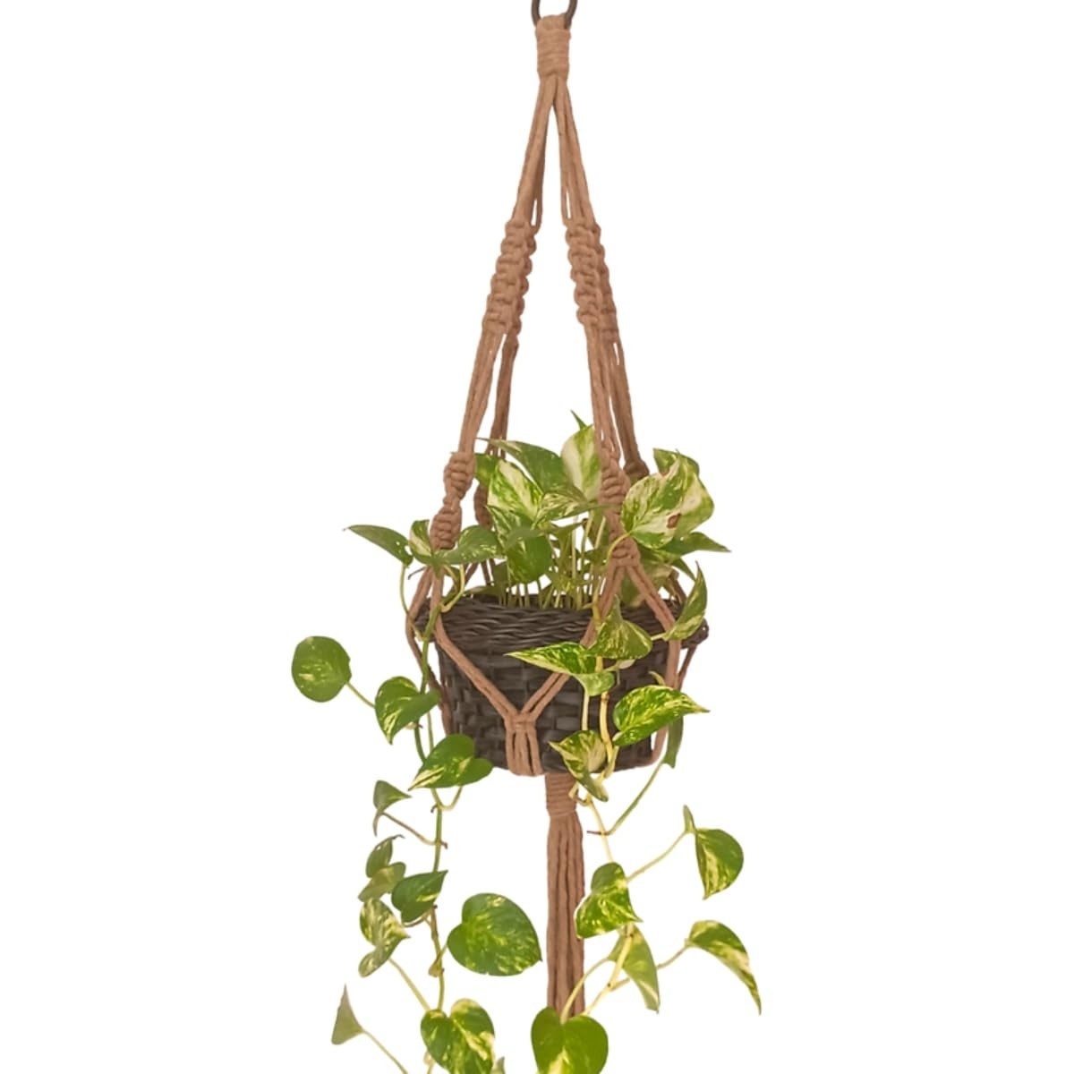 Suporte de Corda Macramê 70 cm para Vasos de Plantas - Bege | Decoração Elegante e Sustentável