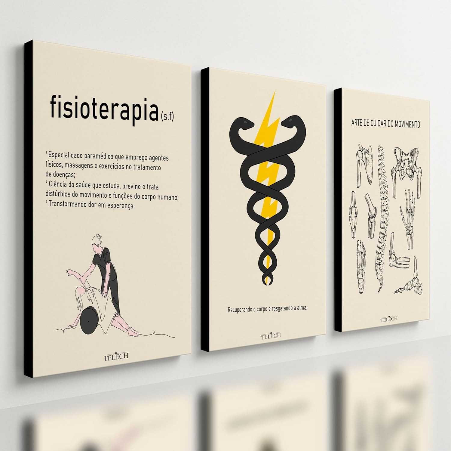 Kit 3 Quadros Decorativos para Fisioterapia - Design Moderno em MDF 40x28cm