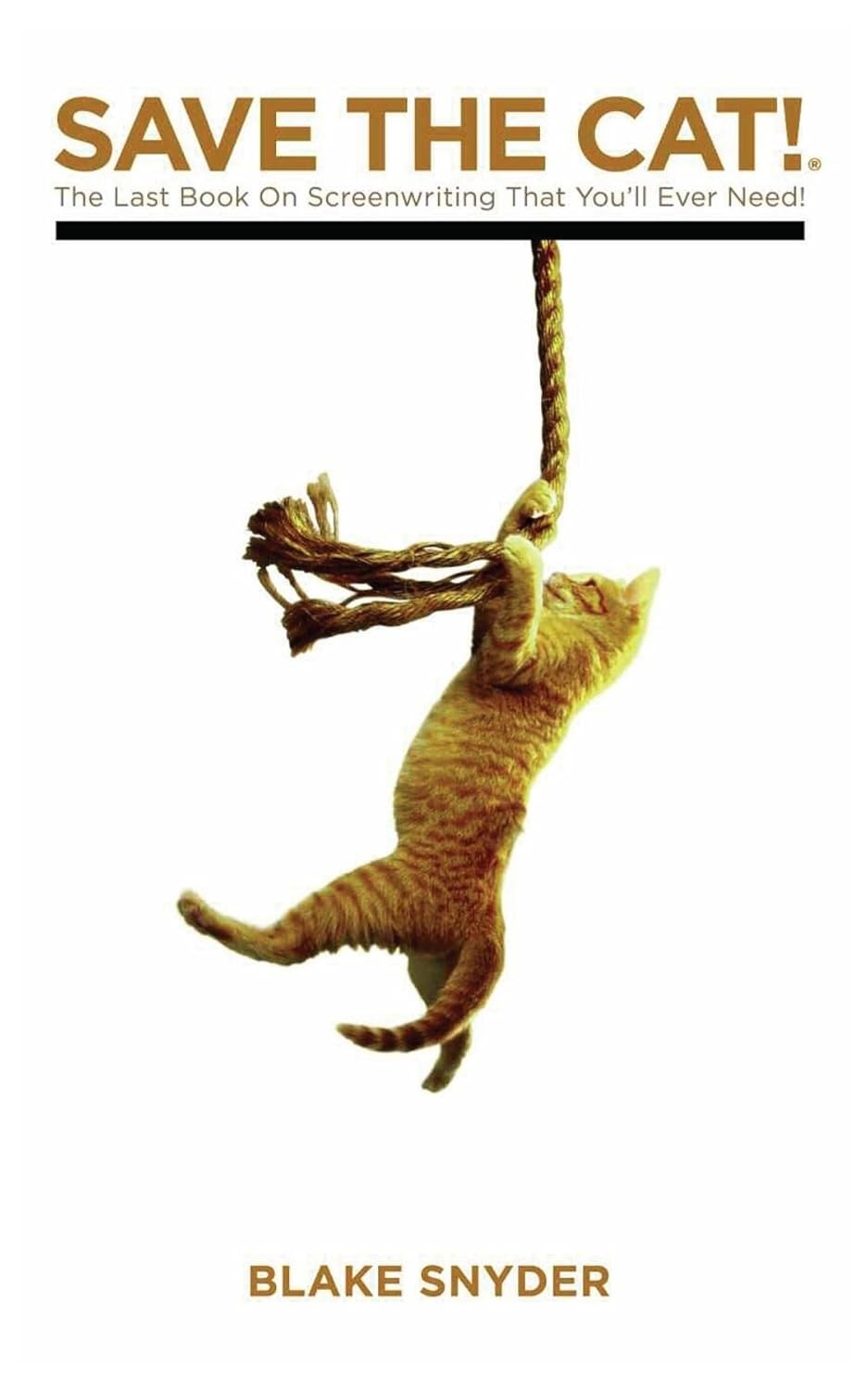 definitivo-save-de-a-guia-o-sucesso-the-cat-para-roteiristas-a