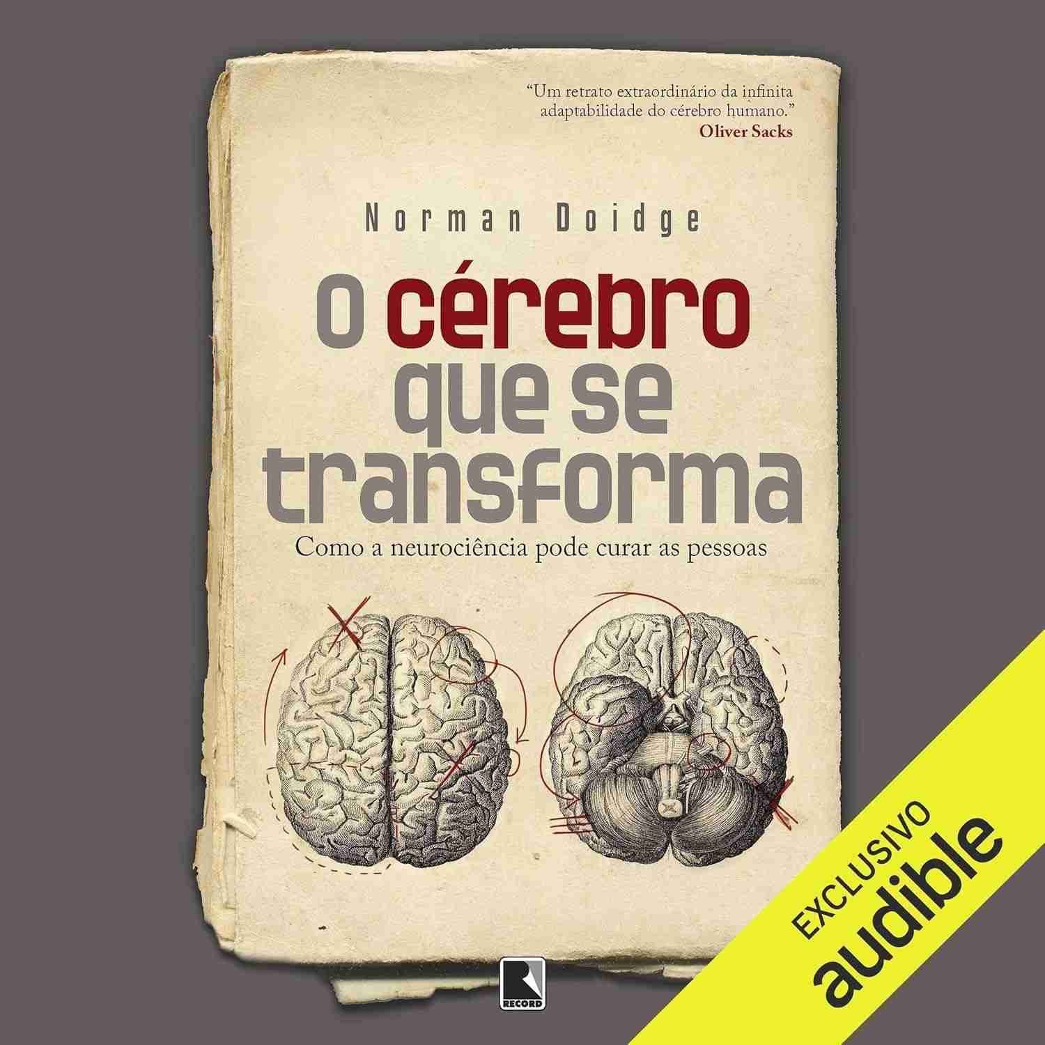 descubra-poder-o-transforma-o-neuroplasticidade-da-se-a-que-cerebro-a