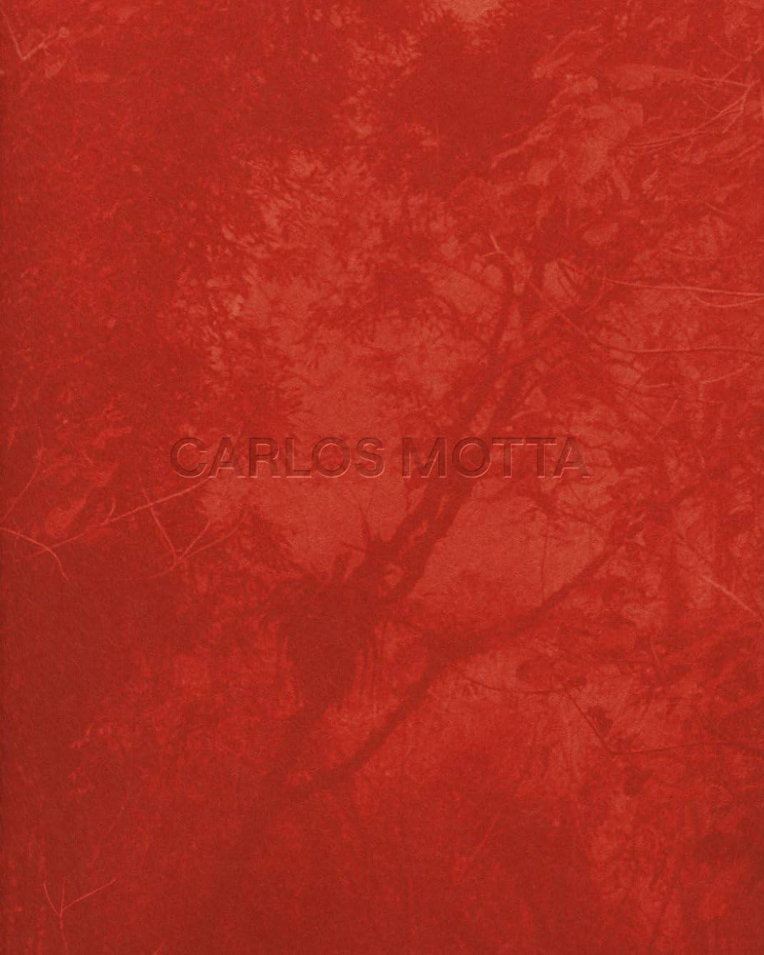 design-criativa-motta-marcenaria-a-e-jornada-uma-carlos-arquitetura-a