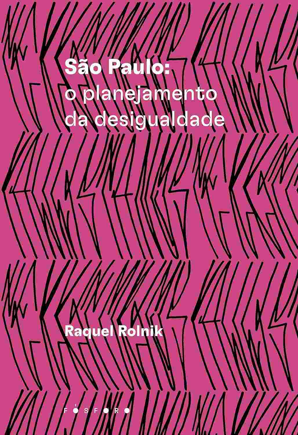 desigualdade-entenda-com-a-sao-paulo-da-planejamento-a-cidade-raquel-rolnik-a