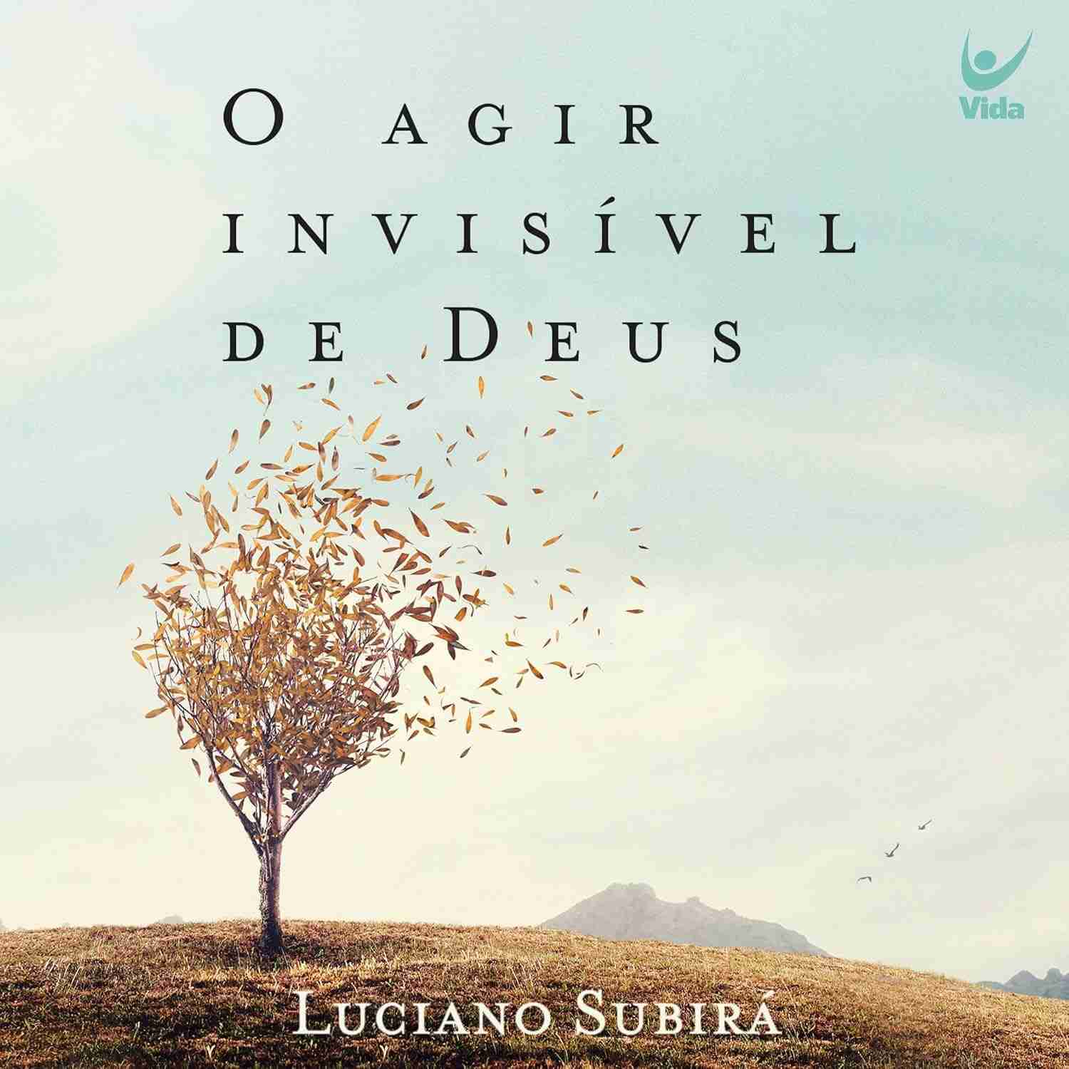 divina-a-a-de-invisivel-deus-o-agir-soberania-desvendando-a