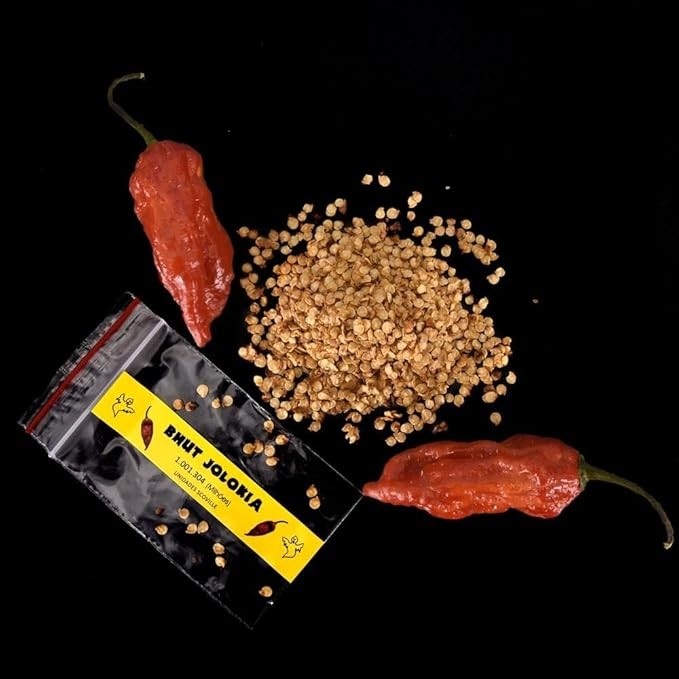 20 Sementes Bhut Jolokia A 3ª Mais Forte Do Mundo Verdadeiras De Assan Índia
