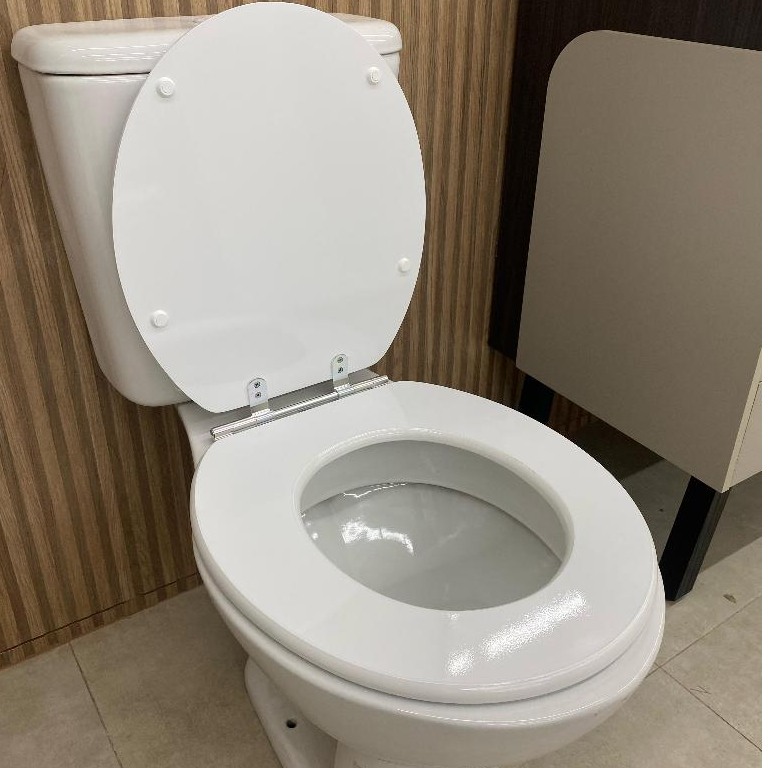 Assento Sanitário Laqueado: Conforto e Durabilidade