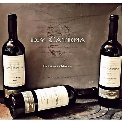 dv-malbec-argentinos-catena-6-cabernet-vinhos