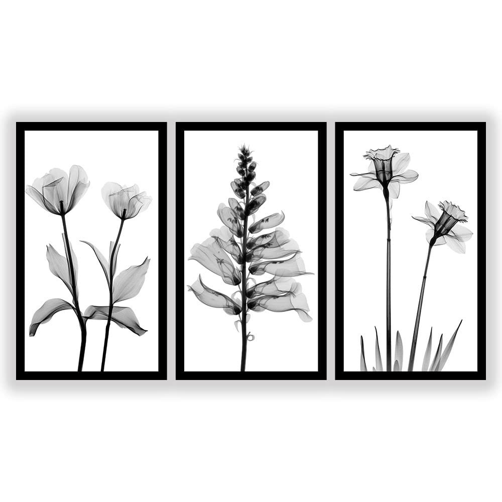 Kit 3 Quadros Decorativos Grandes com Moldura - Flores Minimalista Preto e Branco