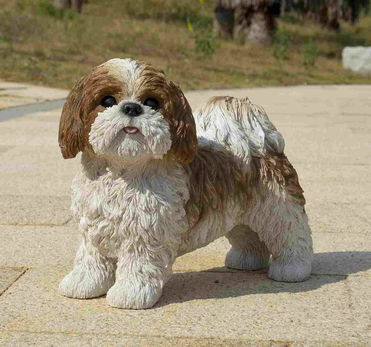 Presente Hi-Line Shih TZU Marrom e Branco - Decoração Realista e Elegante