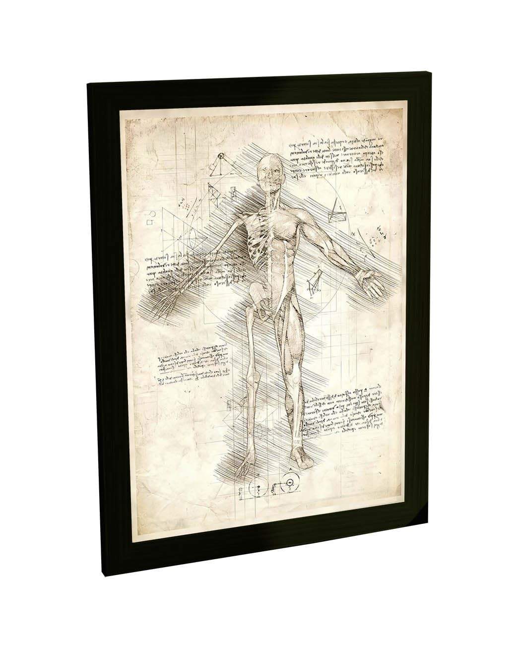 Quadro Decorativo Corpo Humano - Estudo Médico e Biológico para Decoração Moderna