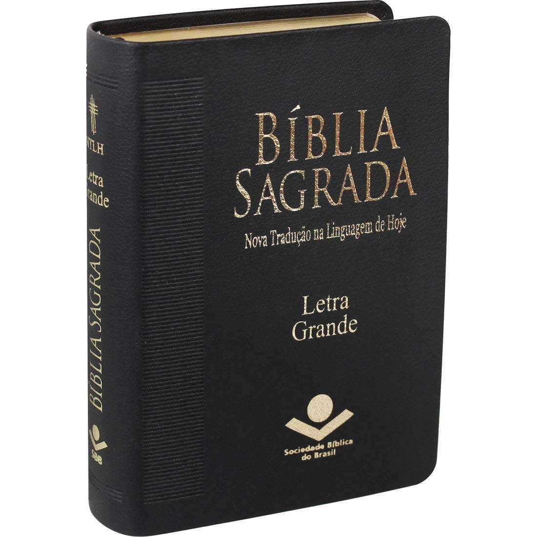 e-palavra-letra-conforto-deus-ntlh-a-de-clareza-sagrada-biblia-grande-na-a