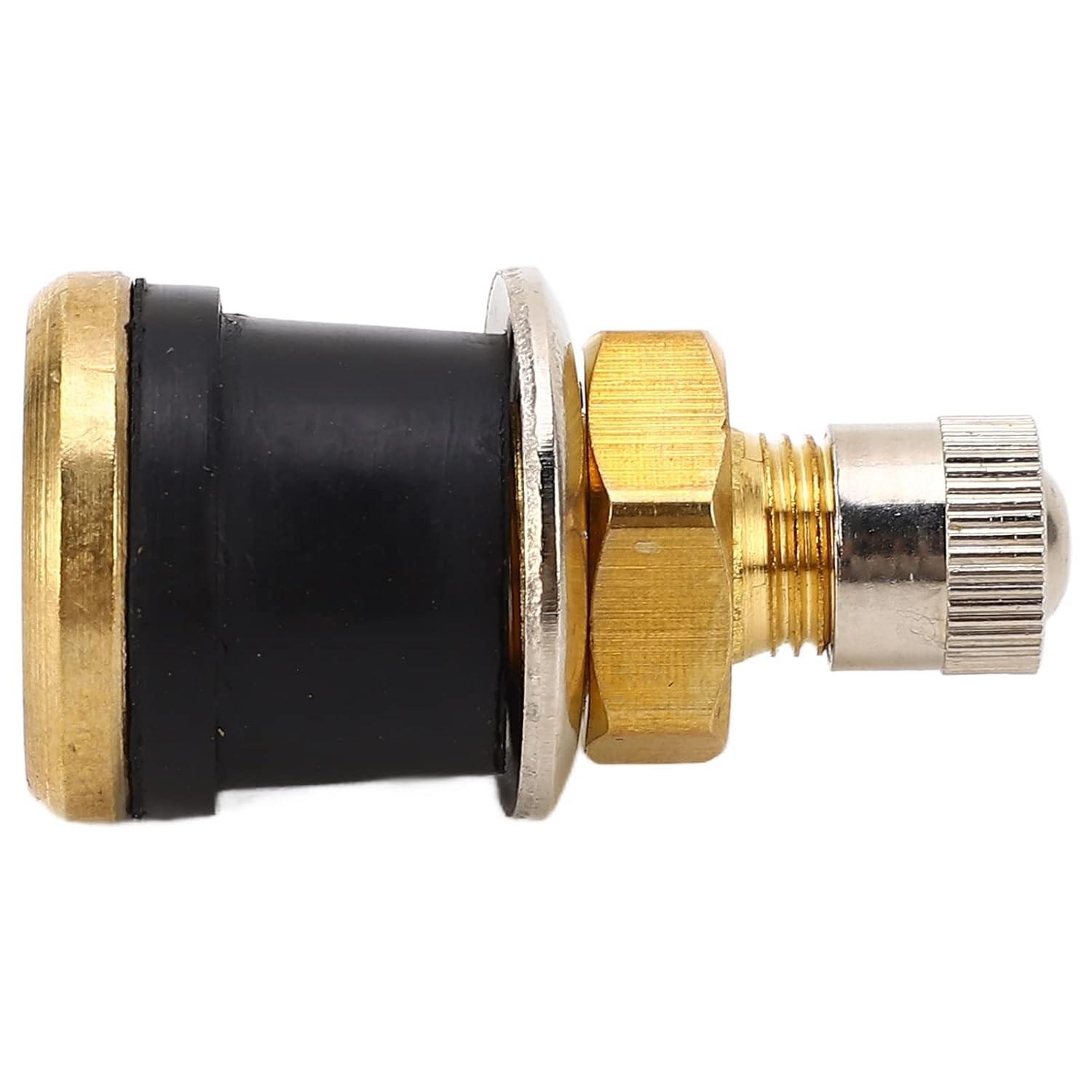 Kit 20 Hastes de Válvula de Pneu para Caminhão e RVs - Cobre 8" Sem Câmara 0.625"