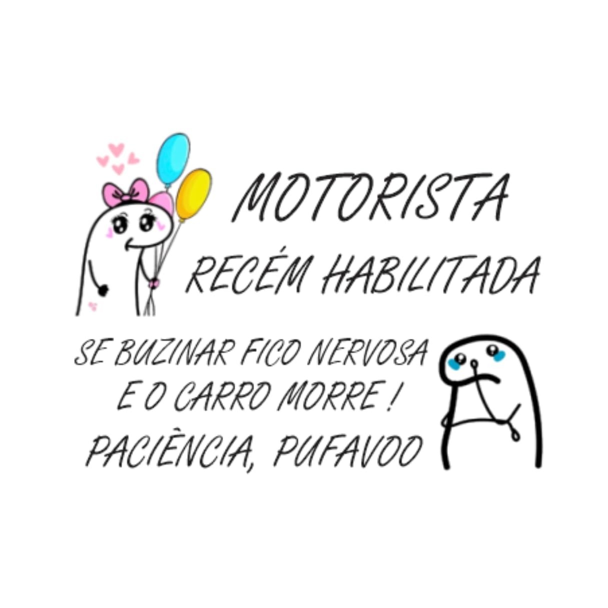 e-seguranca-confianca-adesivo-a-motorista-recem-dirija-com-habilitada-a