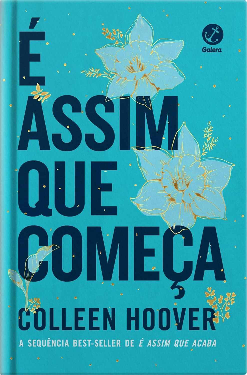 É Assim Que Começa (Edição de Colecionador): A Emocionante Continuação de Colleen Hoover