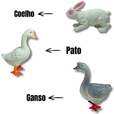 educativas-brincadeiras-para-grandes-borracha-de-fazenda-da-animais