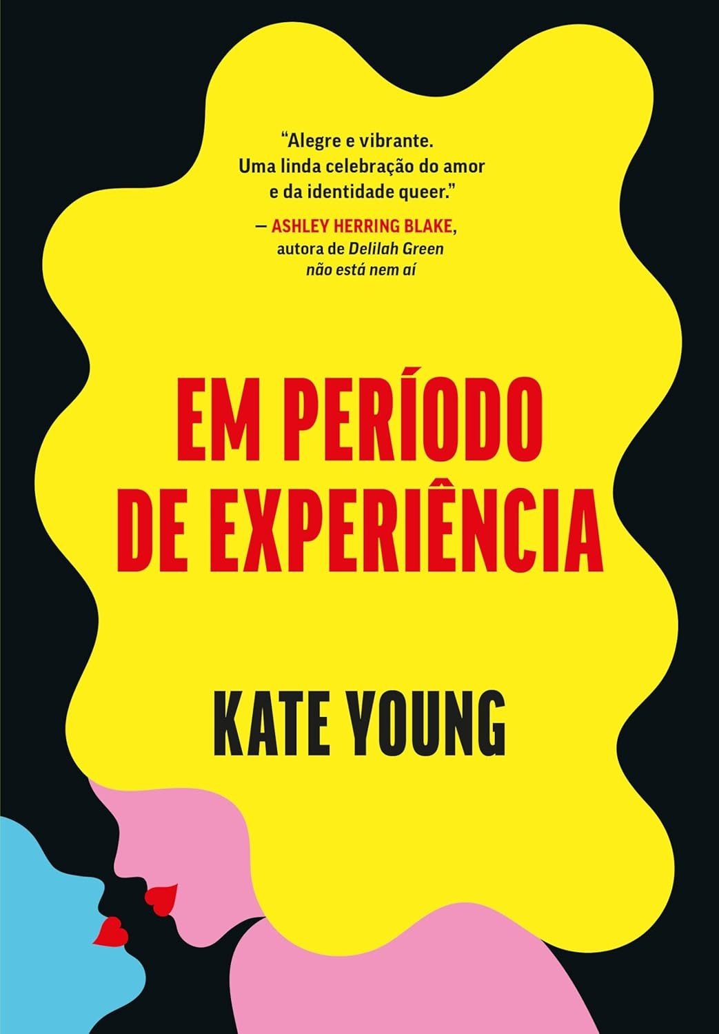 Em Período de Experiência: Uma Comédia Romântica Queer Inovadora