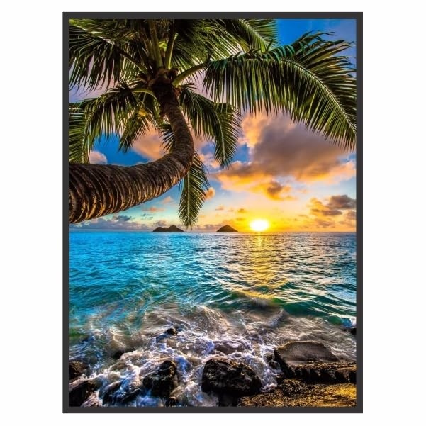 Quadro Decorativo Paisagem Sol Mar Palmeira - Moldura Preta em Madeira Pinus FSC