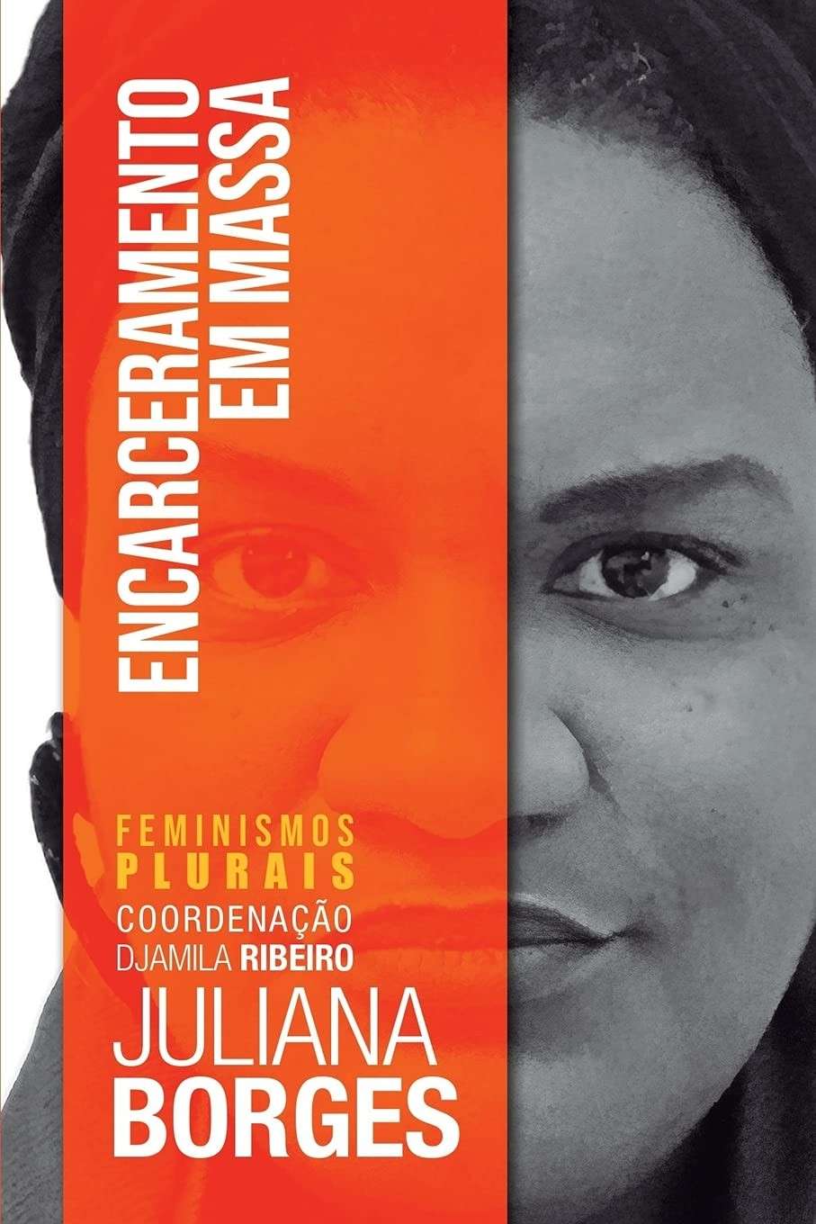 Encarceramento em Massa: Feminismo Negro e Justiça Criminal no Brasil