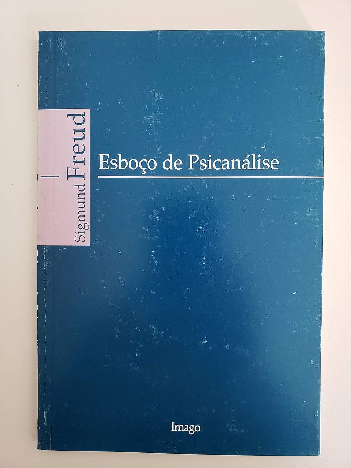 entender-mente-a-de-um-a-psicanalise-para-esboco-essencial-humana-guia-a
