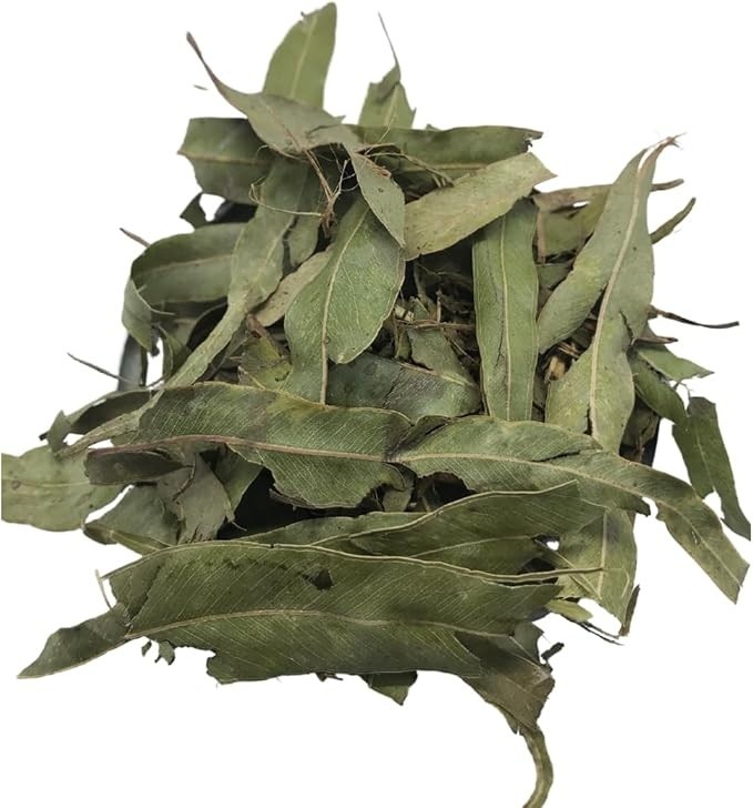 Eucalipto Citrus 500Gr (Ervas e Talos)