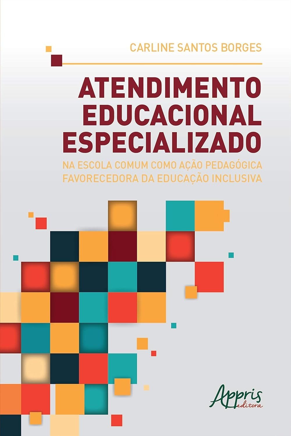 Educação Inclusiva: Atendimento Educacional Especializado na Escola Comum