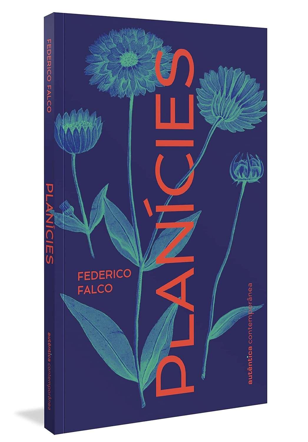 Planícies: Um Romance Sobre Luto, Tempo e a Força da Escrita