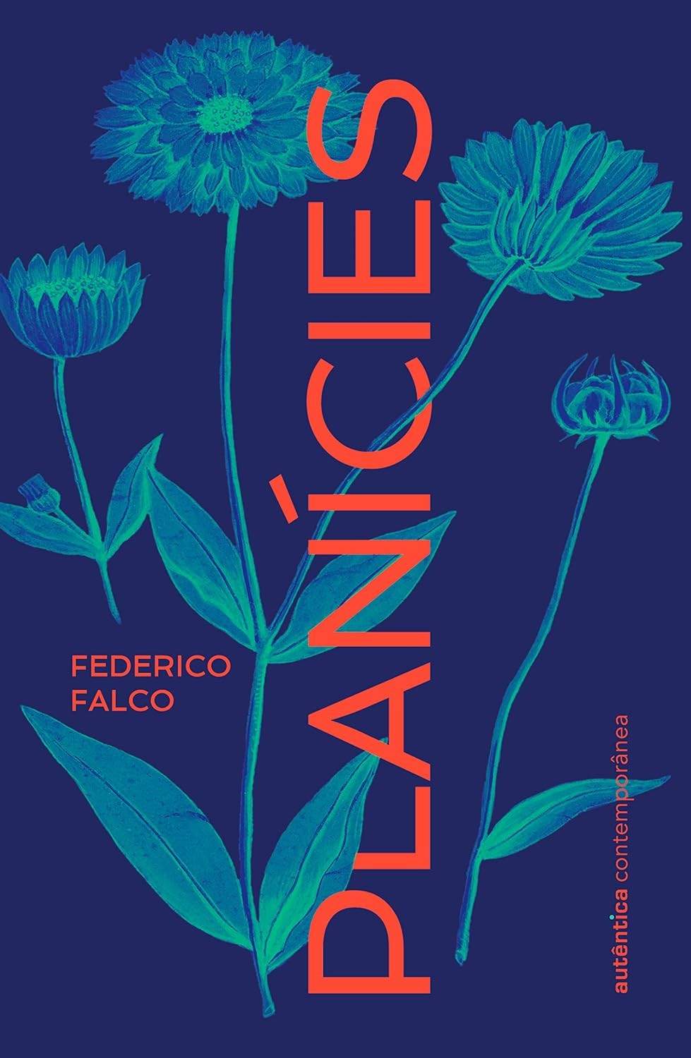 Planícies: Um Romance Delicado Sobre Luto, Tempo e Escrita