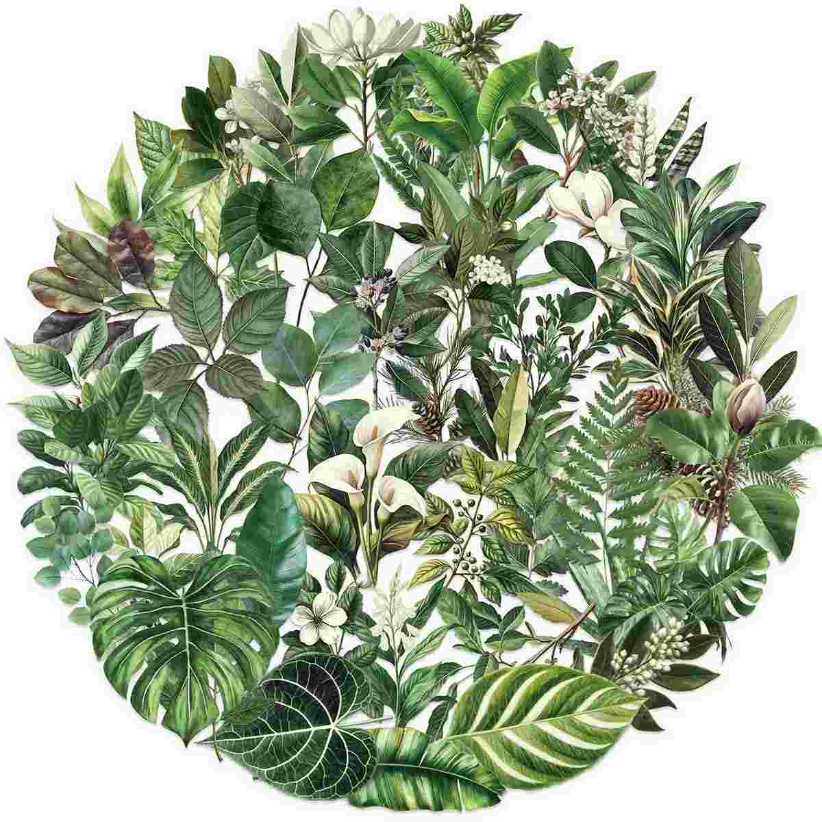 Pacote com 50 Adesivos Transparentes de Folhas Verdes - Estilo Desenho Animado para Decoração de Cadernos, Guitarras e Itens Pessoais