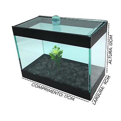 Aquário Beta 2L: Decore com Estilo!